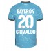 Maillot de foot Bayer Leverkusen Alejandro Grimaldo #20 Troisième vêtements 2023-24 Manches Courtes